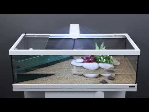 Watch Video on YouTube