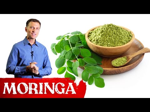 Die Vorteile von Moringa - der Wunderbaum. | Dr. Berg Deutsch