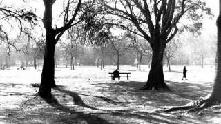 Me duele quererte - Servando y Florentino