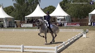 L'écurie Haras de la Gesse remporte le Grand National 2019