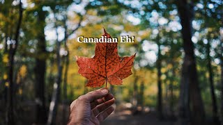 Original Songs by Canadian composers “Moon Face”