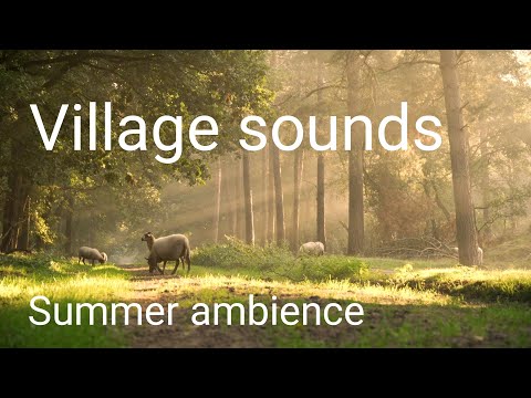 Relaxing village sounds. Summer morning ambience. Village ambience