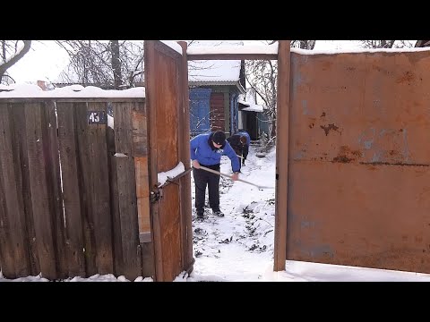 Молодежь Гомеля помогает в уборке снега. Работают горячие линии видео