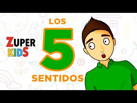 LOS 5 SENTIDOS | para todos
