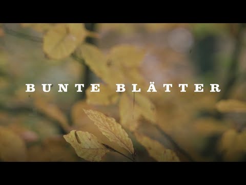 Breaking Swag - Bunte Blätter (Official Video) (prod. by Nicolo)