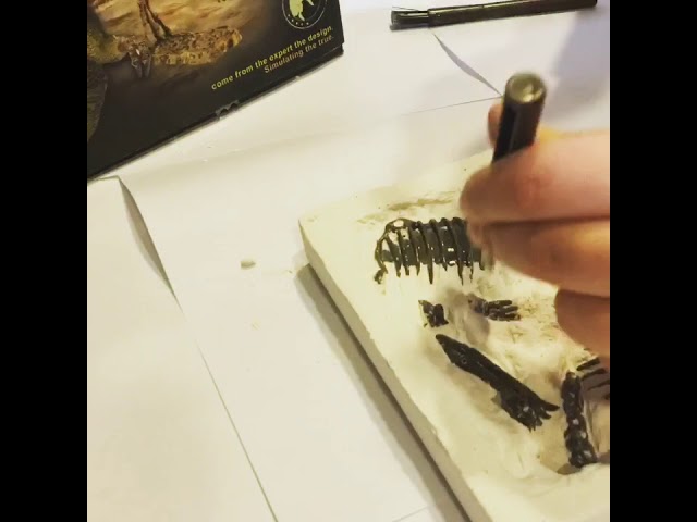 Vídeo relacionado con KOSMOS 657918 - Kit de excavación de fósiles para excavar auténticos petrificaciones y ámbar, con Martillo y cincel, Kit de experimentación para niños a Partir de 7 años