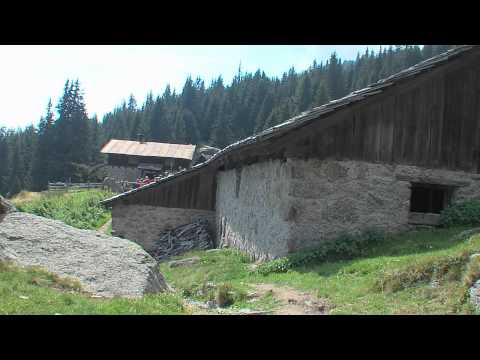 Meraner Höhenweg Tag 6 - Südliche Kontraste zwischen Palmen und Firn