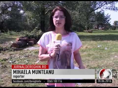 FURTUNĂ DEVASTATOARE ÎN MUREŞ (2016 06 20)