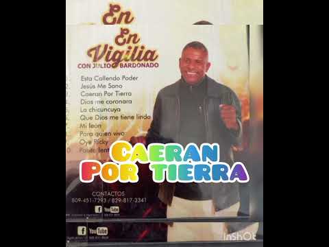 julio bardonado - Tienen que caer por tierra