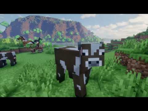 The ULTIMATE Minecraft Shader Comparison! Which One Looks the Best? (Sodium + Iris 1.21.4)