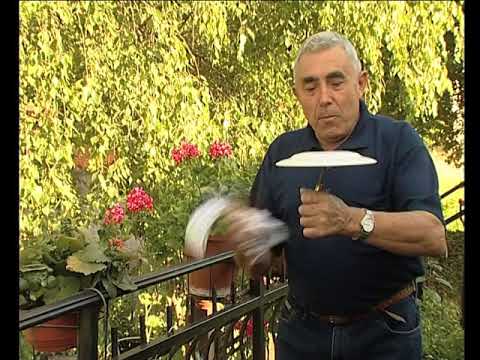 A Tolosa cal anar...