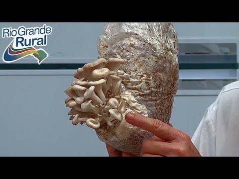 https://www.youtube.com/watch?v=eX7GIY6ldJg