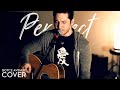 Pink - Perfect (Boyce Avenue acoustic cover) on ...