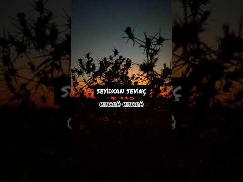 Seyidxan sevinç Emanê