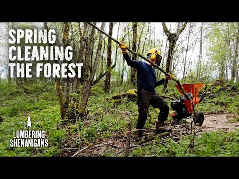 Spring Cleaning The Forest (Using the DK2 3" Chipper)