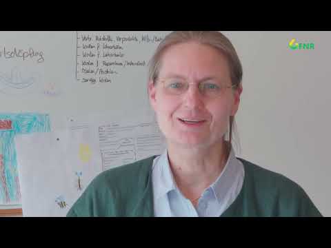 Wissenschaftliche Einordnung der Kaskadennutzung von Holz