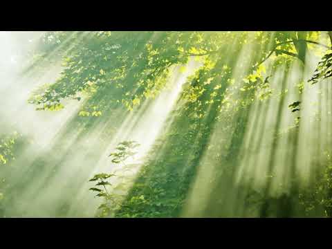 Judy Collins: Amazing Grace