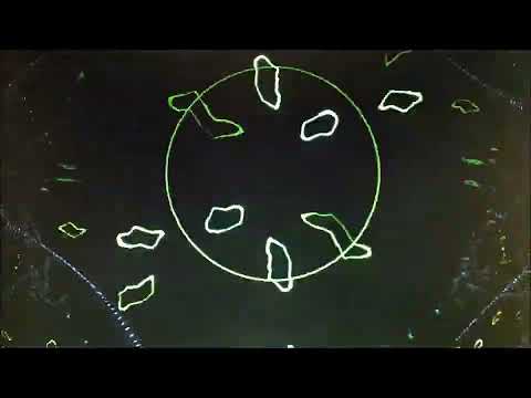 Noheadchicken live /// 20220212