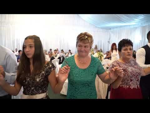 Nunta la Campulung cu Formatia MODERN - tel ; 0741068162 / 0766751805