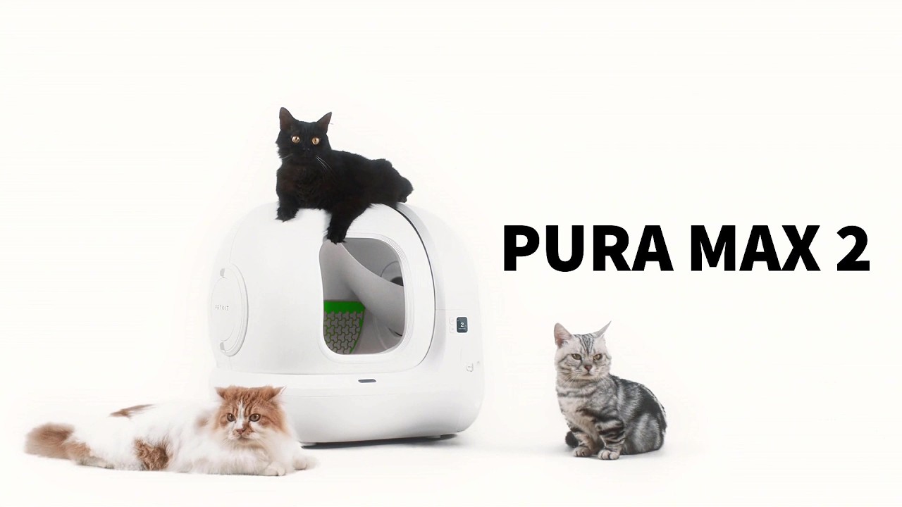 Máy dọn vệ sinh mèo Petkit Pura Max 2