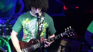 &quot;Kiwi&quot; ~ Pigeons Playing Ping Pong 7-17-13 The 8x10