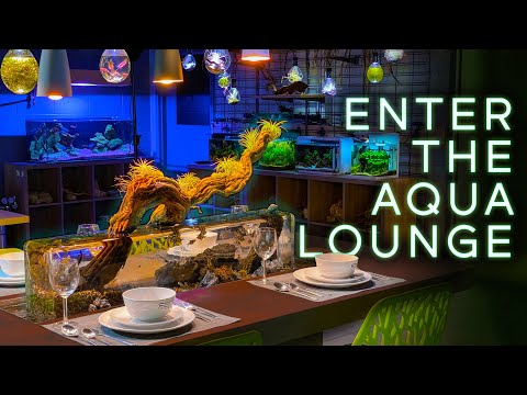 Touring THE AQUA LOUNGE — Epic Shop Tour