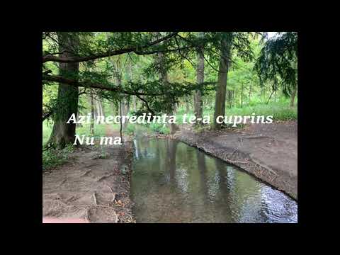 Nou! Daniel Hîrtie & Emanuela Grămadă - Ai ațipit