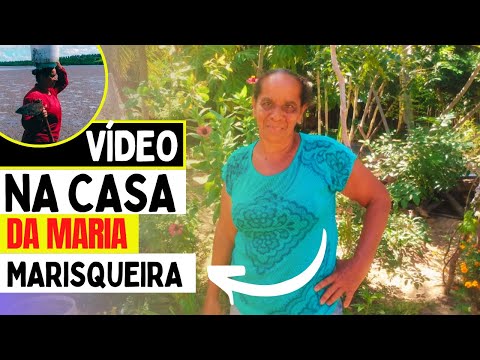 NO VIDEO DONA MARIA NOS MOSTRA O SEU QUINTAL DE CASA PRODUTIVO