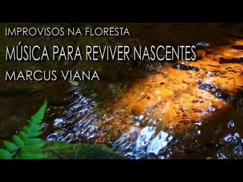 Marcus Viana - Musica Para Reviver Nascentes