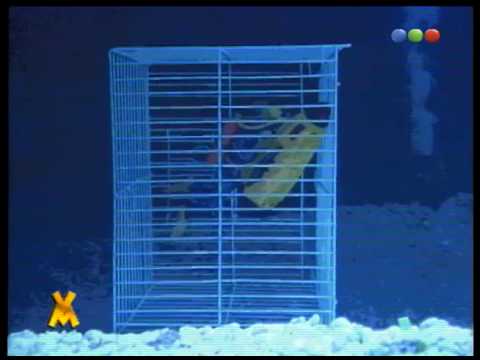 Desastre TV, con Yayo - Videomatch 97