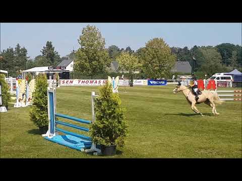 Malu (10) und Dancer - Südd. Ponymeisterschaft A* in Burgstädt am 30.08.2019