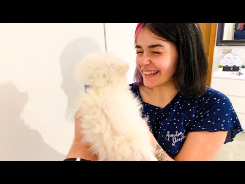 Ho regalato un CUCCIOLO di CANE alla mia ragazza! *King&Angel*