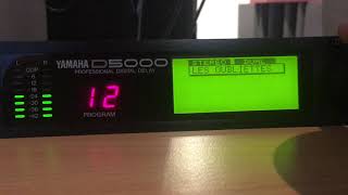 Video thumbnail for démo Yamaha D5000 by arnaud houpert