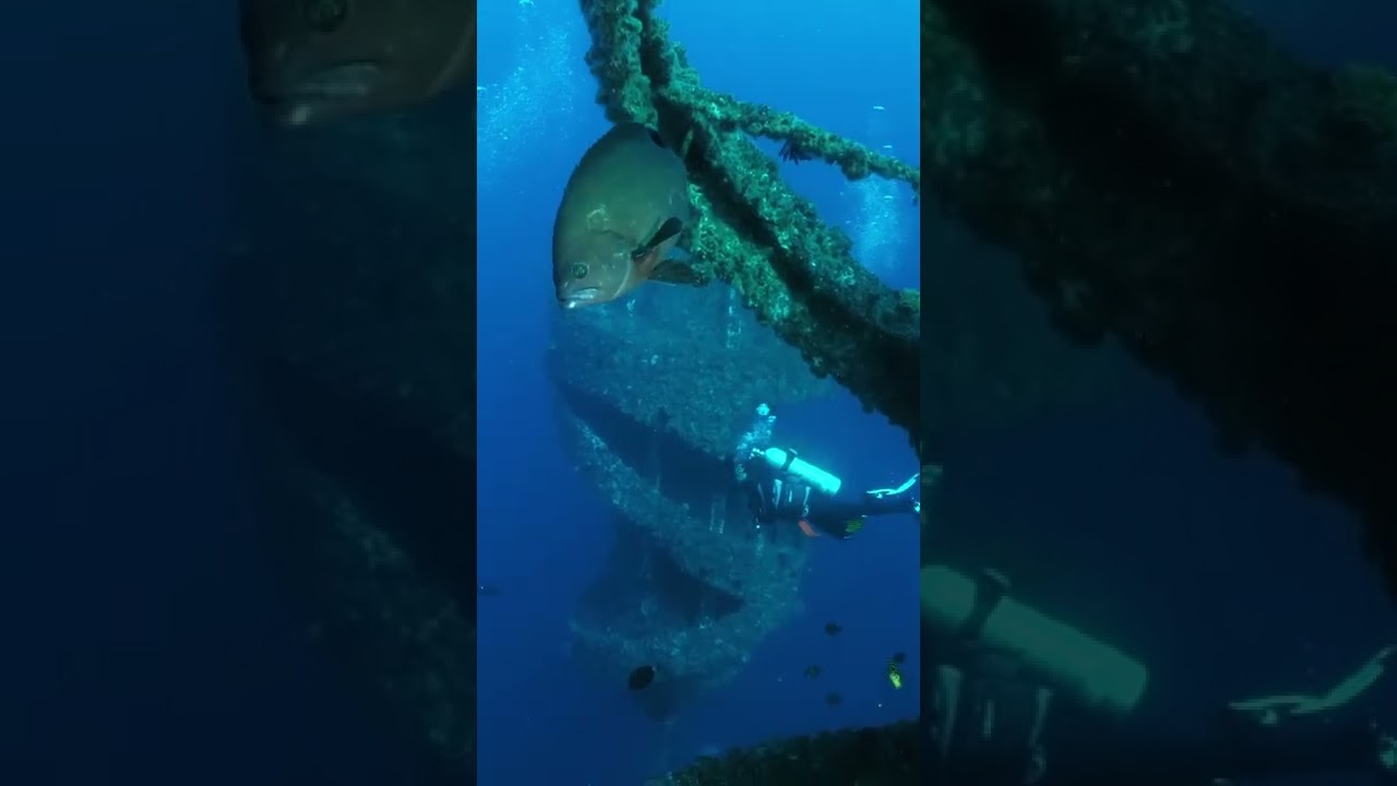 YouTube Short thumbnail