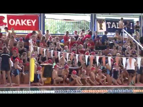 Junior School Swim Carnival 2016