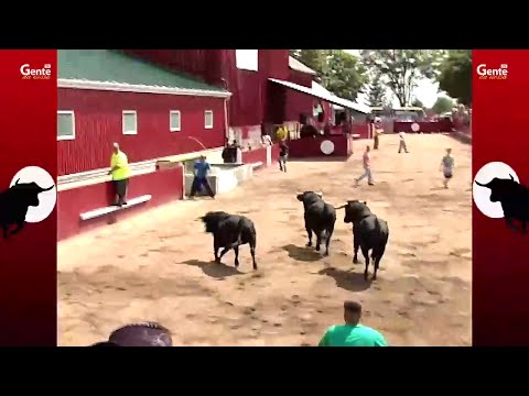 Clips da Festa Brava & Picnic 2015 - Aug.13 - #2