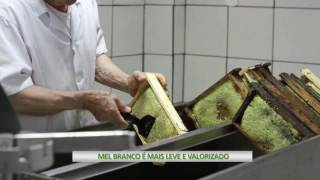 Miniatura do vídeo