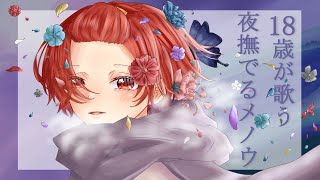 からもうすきエフェクトかけてるの天才すぎる - 【18歳が】夜撫でるメノウ / Ayase【歌ってみた】