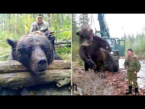 The Biggest Bear Ever