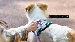 Video de Correa Retráctil Para Perro Truelove TLL5001 5m Reflectante