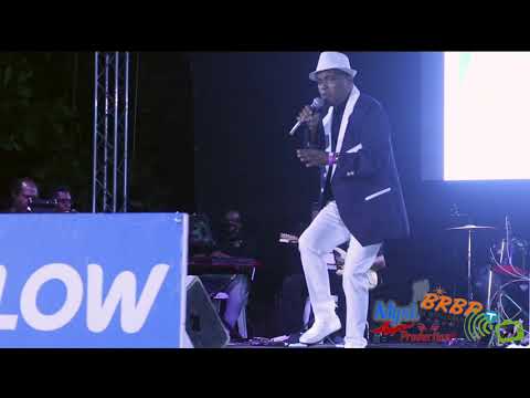 CHECKER 2021 live @ Dominica Calypso - BrBpTV