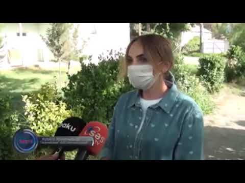 Taxıl biçininə saylı günlər qaldı.