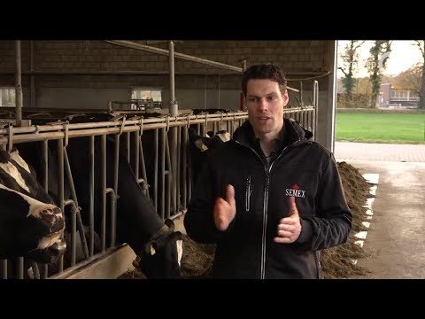 GLD Nieuws 26 november 2020