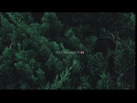 Still  You Reign 🎵🎼🎶🎹🎸🎤❤️✨