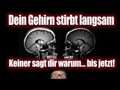NEUE Studie! 📄 Diese Lebensmittel lassen das Gehirn schrumpfen! - MRT & PET bestätigt dies
