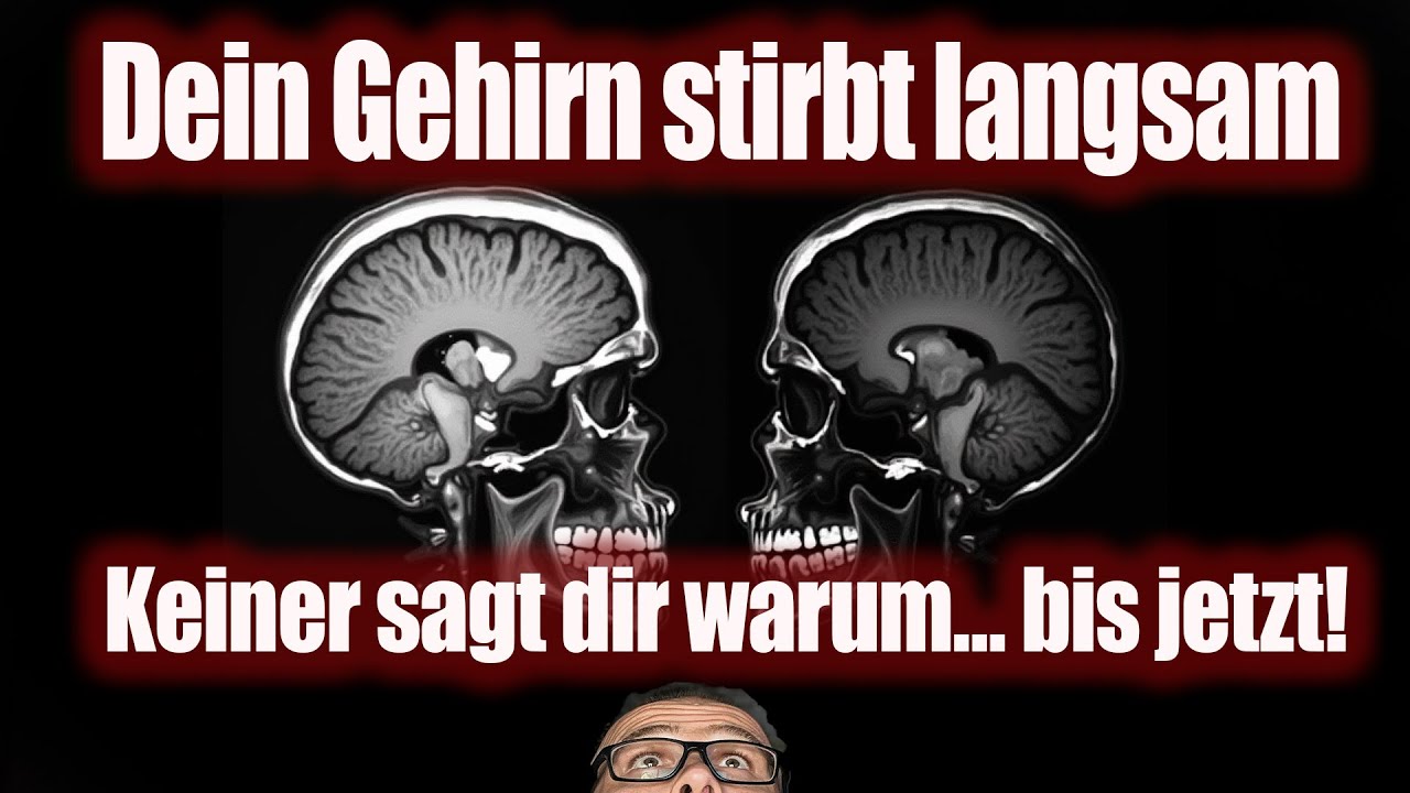 NEUE Studie! 📄 Diese Lebensmittel lassen das Gehirn schrumpfen! - MRT & PET bestätigt dies
