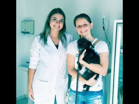 Quatro Patas Pet Shop... 