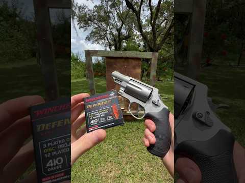 Defender .410 vs. Cranium Target Ballistic Gel