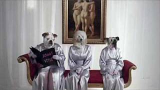 GoldFrapp - Number 1 (Superchumbo Mix)