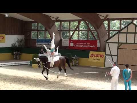 CVI Krumke 2011 - 1. Juniorteam Hamburg